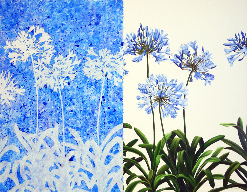 Agapanthus